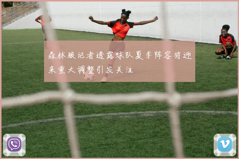 森林狼记者透露球队夏季阵容将迎来重大调整引发关注